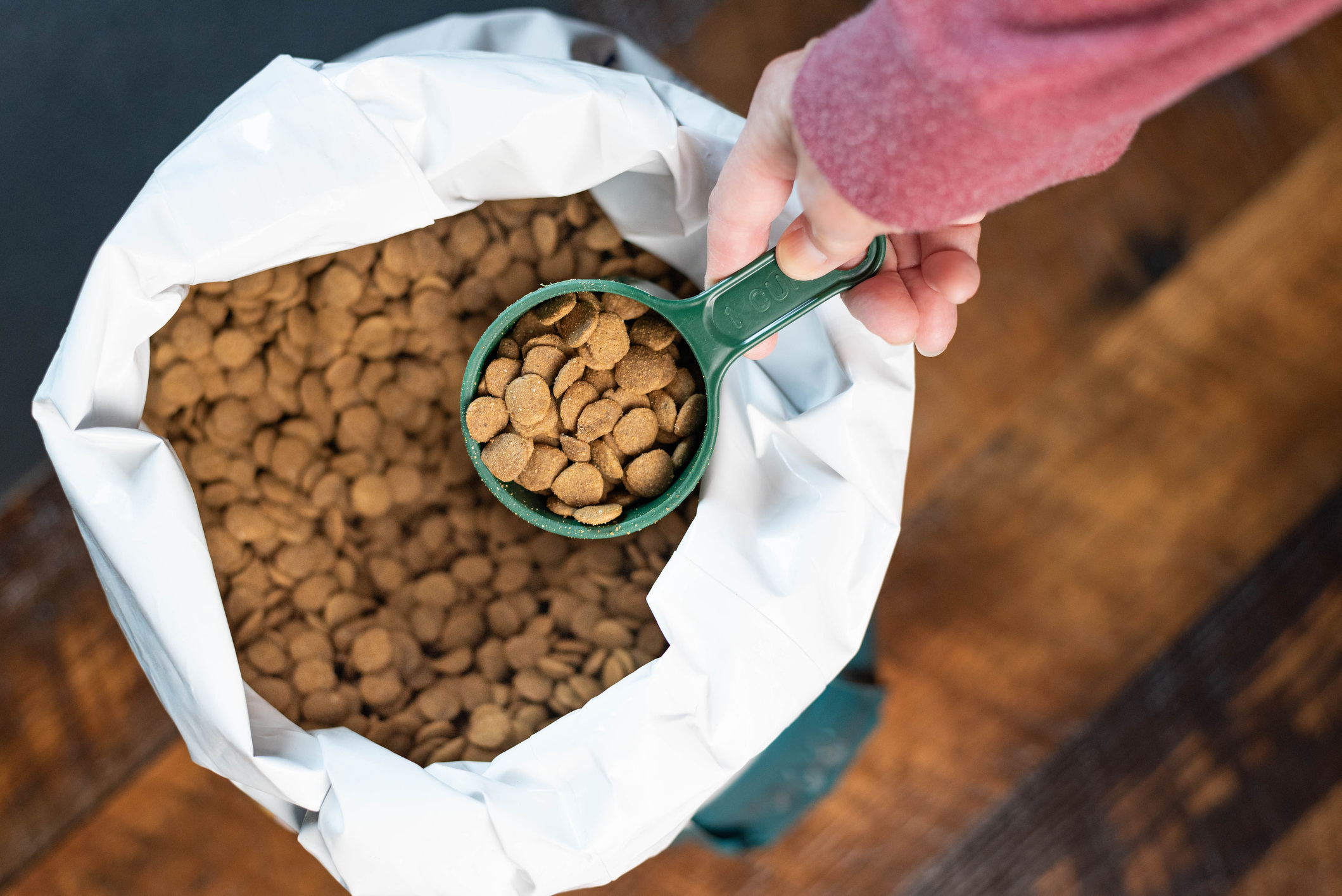 Scooping From a Bag of Brown Pet Food