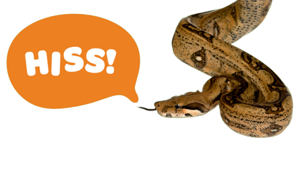 Hiss